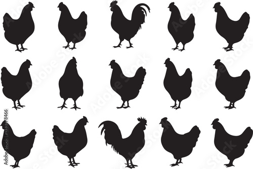 Silhouette of roster, cock, hen icon. Hen icon vector. Hen, chicken silhouette set collection. Organic farming, agriculture, poultry,  meat and eggs products. Domestic animals hen vector illustration.