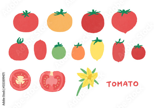 Wallpaper Mural いろいろなトマトのイラストセット Torontodigital.ca