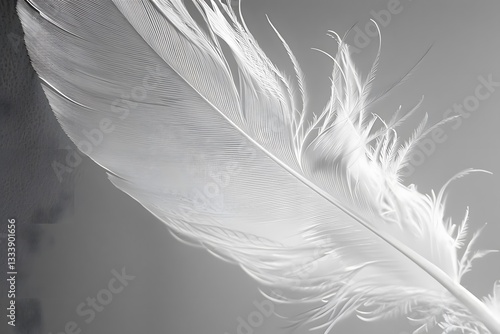 White Feather Close Up: Detailed Textures, Delicate Barbs, Smooth Shaft, Elegant Curves, Soft Lighting, Abstract Art, Nature's Beauty, Bird Feather Macro Photography, Feather Structure