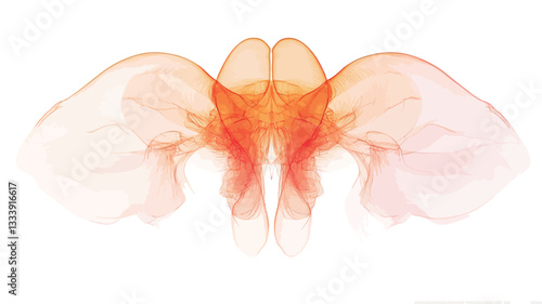The image showcases an abstract form composed of translucent orange and white hues.  The form is bilaterally symmetrical, resembling wings or a stylized insect. The colors transition smoothly from