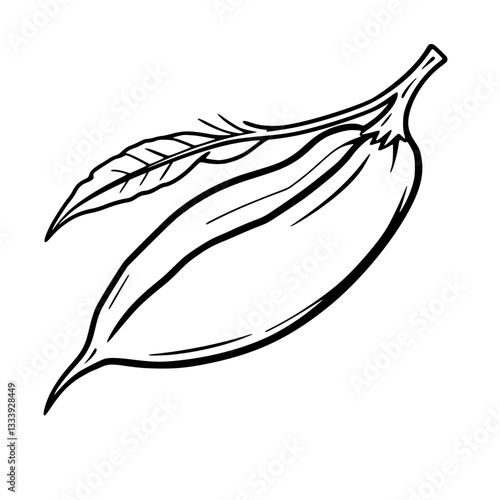 Elegant Line Art Illustration of a Single Vanilla Bean with Leaf                                    