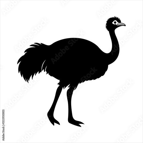 ostrich isolated on white