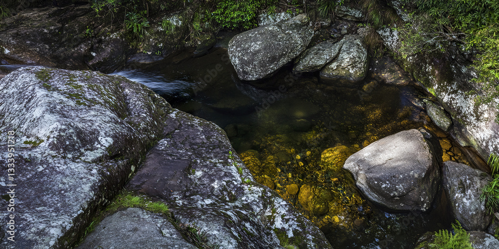 Rocky stream in lush Australian rainforest, serene and vibrant