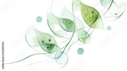 Close-up, highly detailed image of a chain of microscopic algae. The algae are depicted with translucent, greenish bodies, showing internal detail.  The forms are organic and flowing, set against a