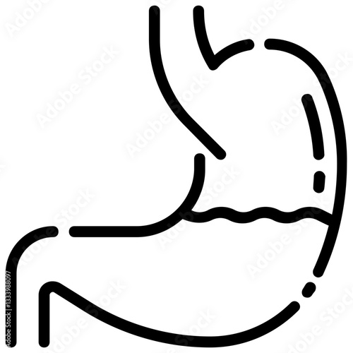 stomach vector outline icon
