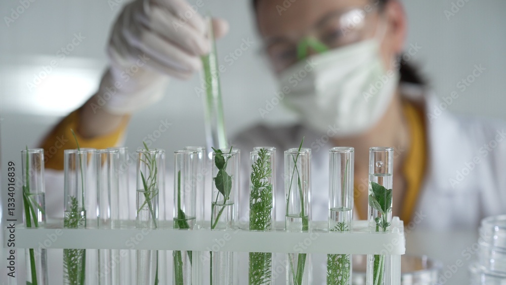 Woman scientist and researcher, wearing a lab coat, green protective gloves and face mask holding a test tube with plants inside, close up. Science concepts