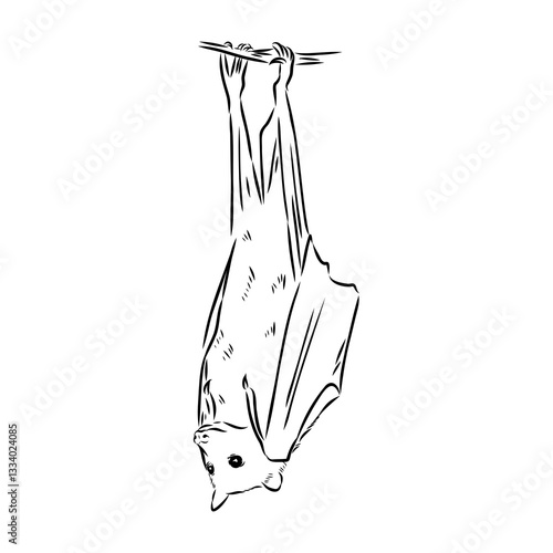 Flying fox bat handing on a branch with leaves. Sketch. Engraving style. Vector illustration.