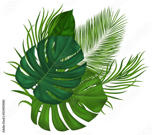 Realistic green tropical palm fronds. For summer events, botanical prints, eco designs, travel marketing materials. Vector illustration.