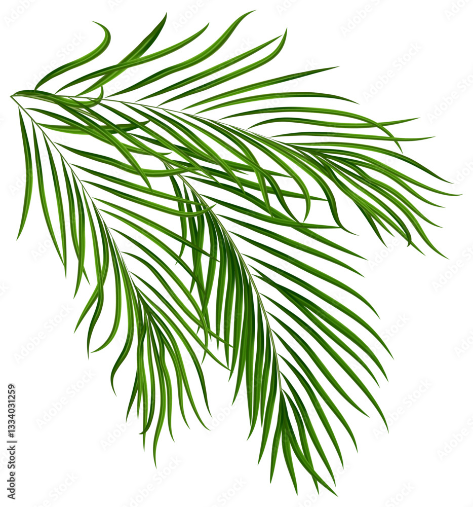 Summer lush palm leaves composition. Suitable for nature concept, vacation, travel, summer holiday. Vector Illustration Summer lush palm leaves composition. Suitable for nature concept, vacation, travel, summer holiday. Vector Illustration