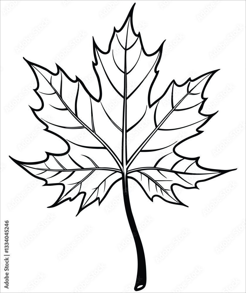 Obraz premium Maple leaf outline vector illustration