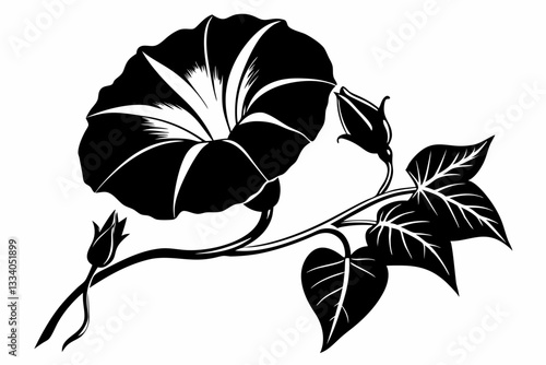 morning glory flower line art silhouette vector illustration