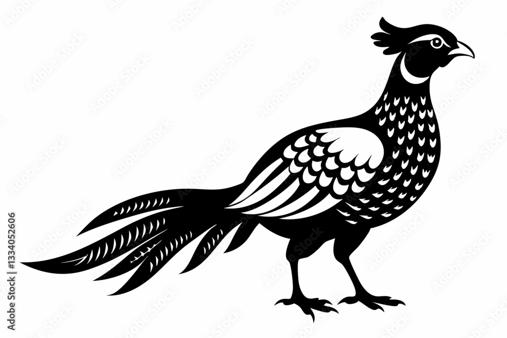 Fototapeta premium pheasant line art silhouette vector illustration