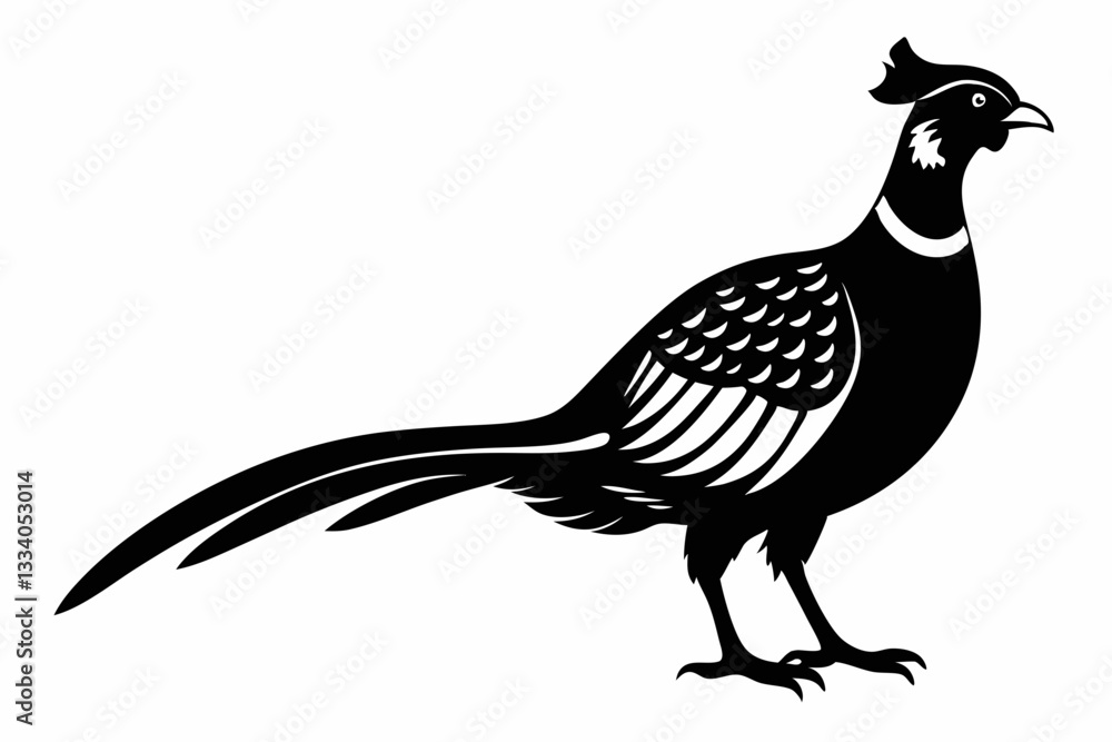 Obraz premium pheasant line art silhouette vector illustration