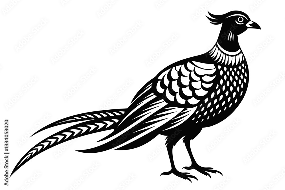 Fototapeta premium pheasant line art silhouette vector illustration