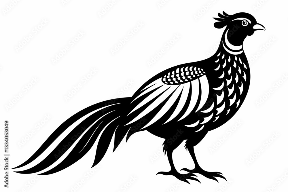 Fototapeta premium pheasant line art silhouette vector illustration