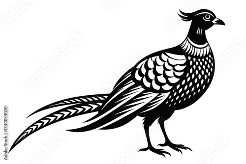 pheasant line art silhouette vector illustration