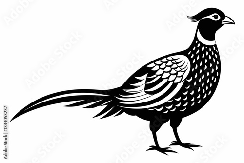 pheasant line art silhouette vector illustration