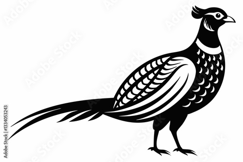 pheasant line art silhouette vector illustration