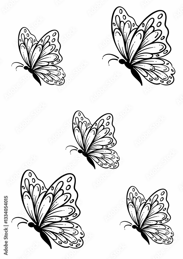 Fototapeta premium ilustrator butterfly