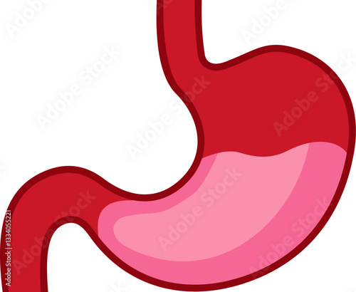 Red stomach with pink liquid, a medical icon showing a simplified human stomach with a representation of digestive fluids inside