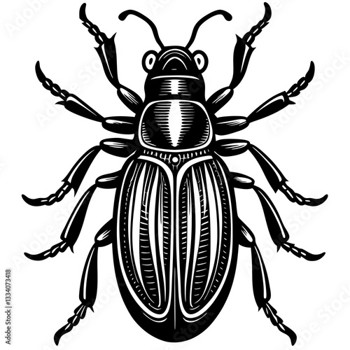 An insect with its intricate exoskeleton and six legs, presented in detailed monochrome