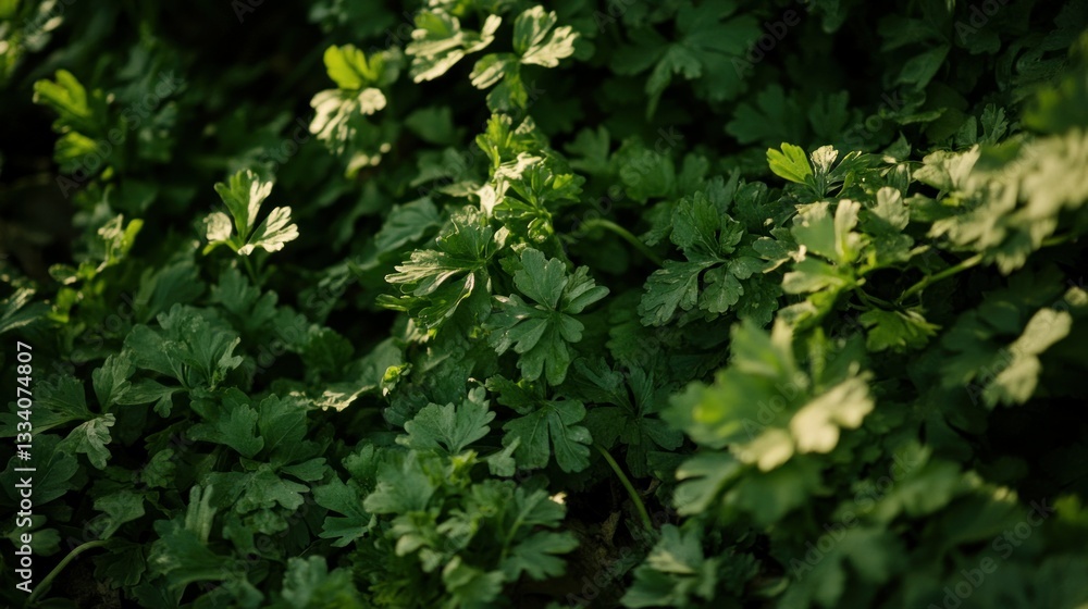 Obraz premium Green foliage and leaves growing densely in a garden environment