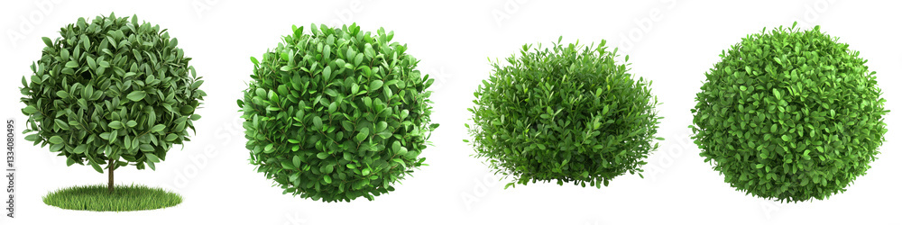 Small green bushes in row, showcasing garden nature in minimal Small green bushes in row, showcasing garden nature in minimal