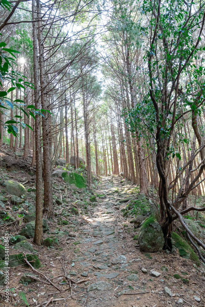 熊野古道伊勢路九鬼峠越え