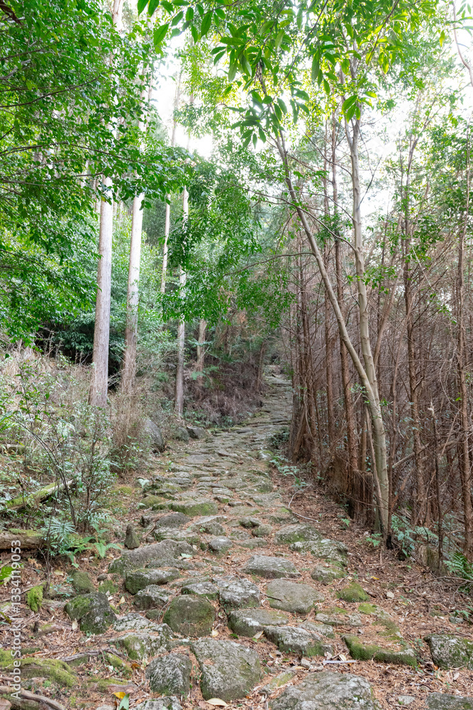 熊野古道伊勢路九鬼峠越え