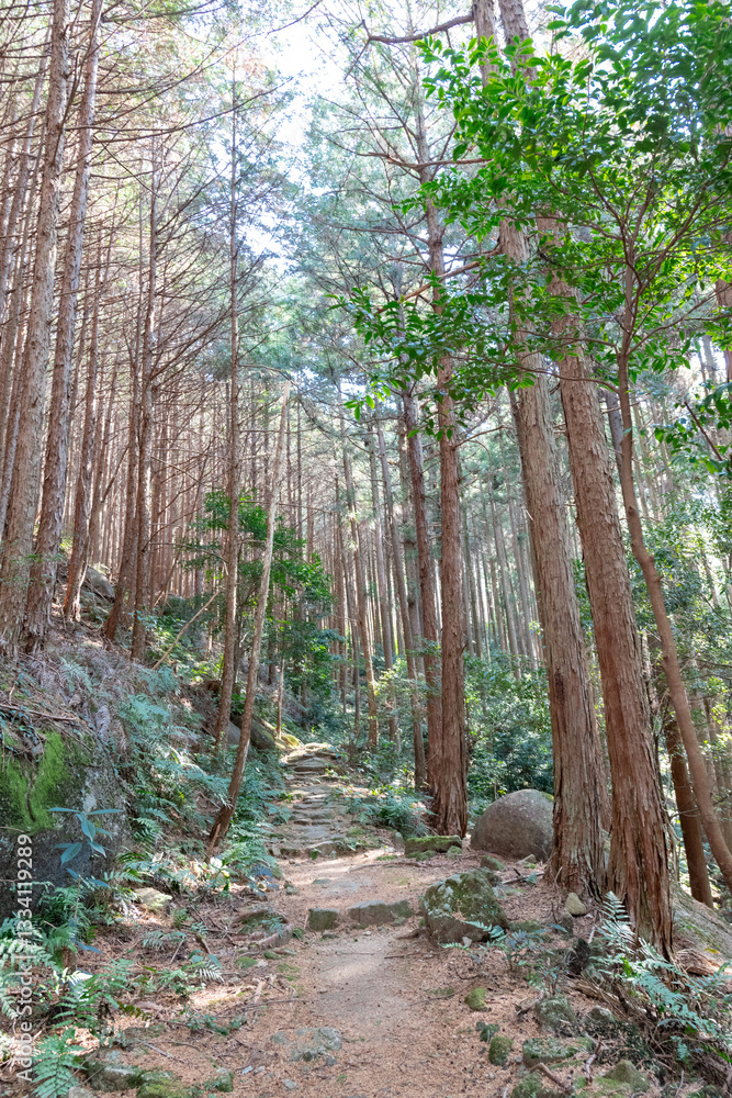 熊野古道伊勢路九鬼峠越え