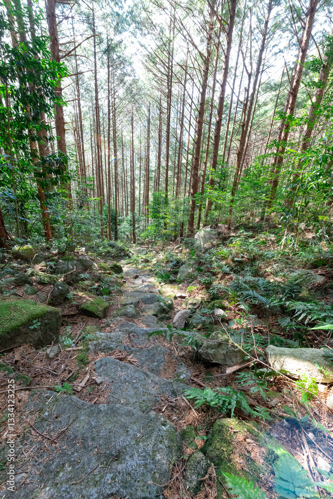 熊野古道伊勢路九鬼峠越え