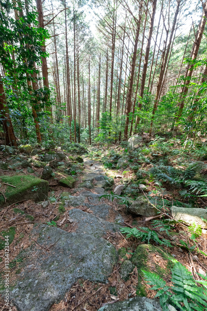 熊野古道伊勢路九鬼峠越え