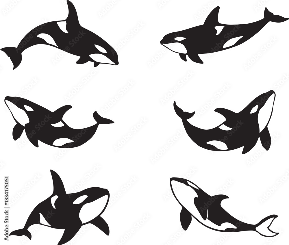 Orca Whale Silhouette Collection Orca Whale Silhouette Collection