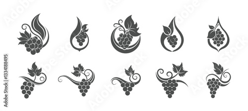 Versatile collection of grapevine decorative icons in black silhouette style with leaves and tendrils, perfect for wine industry branding and marketing materials.

