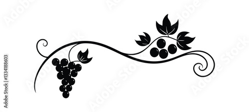 Vector illustration of grape vine with leaves and grapes isolated on white background