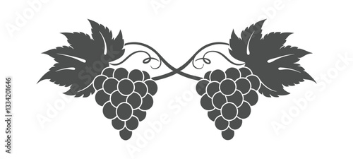 Vector illustration of grapevine ornament isolated on white background