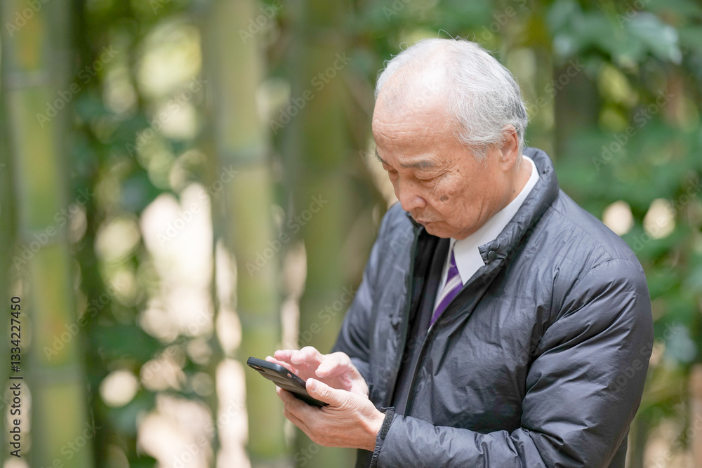 A bamboo forest on a rainy day in Japan, with plenty of greenery in spring. A Japanese man in his late 70s is standing in a suit and a down jacket. He is operating a smartphone. A bamboo forest on a rainy day in Japan, with plenty of greenery in spring. A Japanese man in his late 70s is standing in a suit and a down jacket. He is operating a smartphone.
