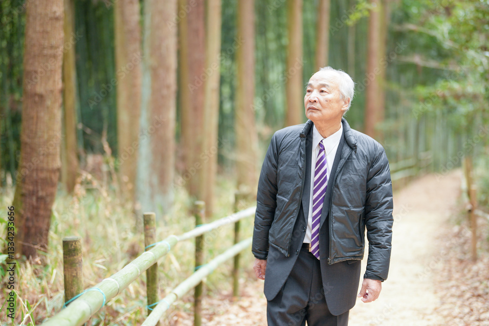Fototapeta premium A forest path on a rainy day in Japan, with lots of green spring. A Japanese man in his late 70s is standing in a suit and a down jacket. He has a folding umbrella.