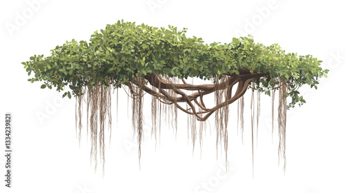 Digital illustration of a lush, green canopy tree with prominent, long aerial roots hanging down. The tree is depicted against a pure white background, isolated from any other elements.  The leaves
