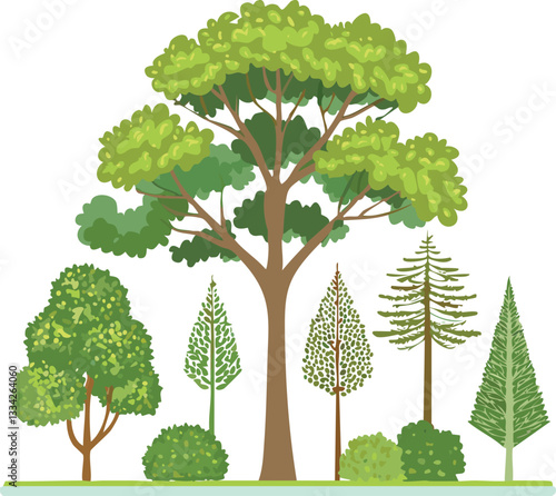 elevation of trees