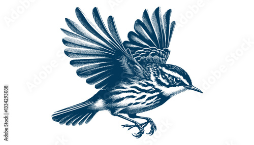 warbler bird vector