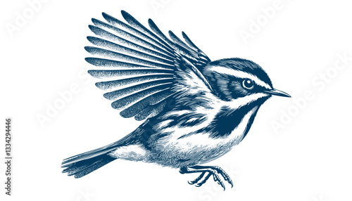 warbler bird vector