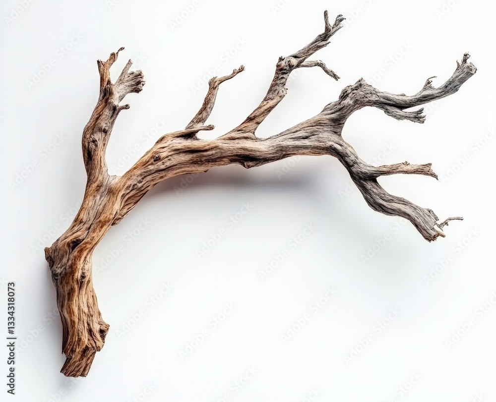 Driftwood branch lying on a white background in studio photography Driftwood branch lying on a white background in studio photography