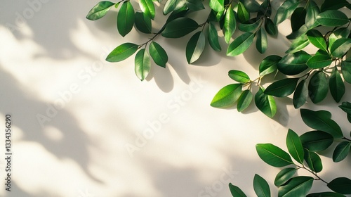 Sunlight illuminating green leaves on beige background.
