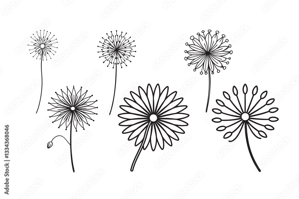 Obraz premium Vegetable Vector Art Design Set 
