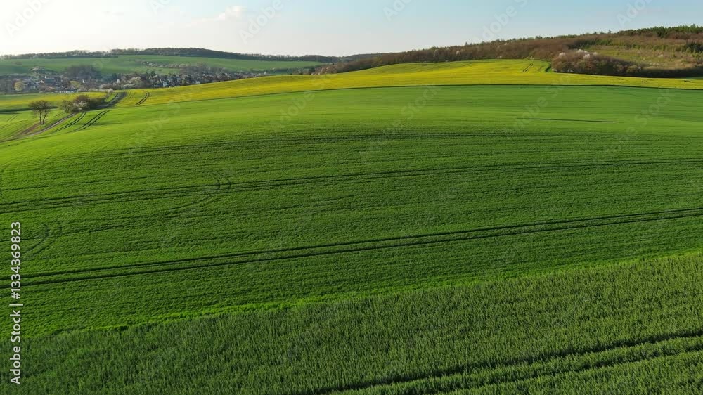 Aerial view of amazing green wavy hills with agricultural fields in spring. South Moravia region, Czech Republic, Europe, 4k Aerial view of amazing green wavy hills with agricultural fields in spring. South Moravia region, Czech Republic, Europe, 4k