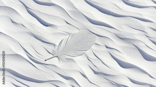 Wallpaper Mural A single white feather rests on a vast expanse of white sand dunes. Torontodigital.ca
