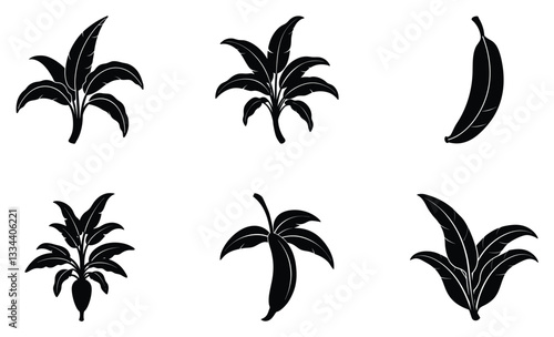 Plantain silhouette vector