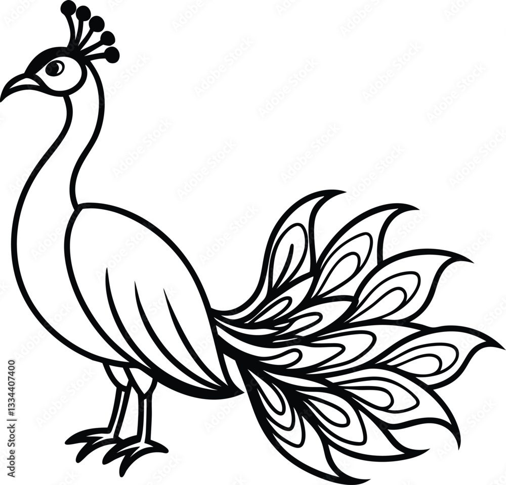 Fototapeta premium Majestic Peacock Line Art Elegant Bird Outline for Luxury Designs