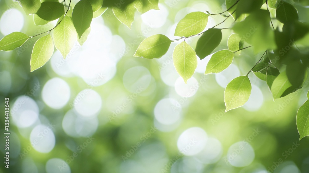 Lush green foliage, vibrant leaves catching sunlight, creating a serene, calming atmosphere, perfect backdrop for nature themes. Lush green foliage, vibrant leaves catching sunlight, creating a serene, calming atmosphere, perfect backdrop for nature themes.